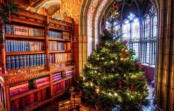 Новогодние традиции для книголюбов
