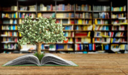5 книг, которые читаются на одном дыхании