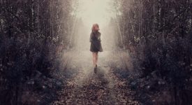 Стивена Кинг «Девочка, которая любила Тома Гордона»