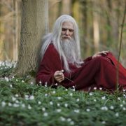 Диана Уинн Джонс «Заговор Мерлина»