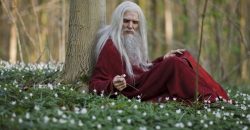 Диана Уинн Джонс «Заговор Мерлина»