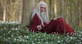 Диана Уинн Джонс «Заговор Мерлина»